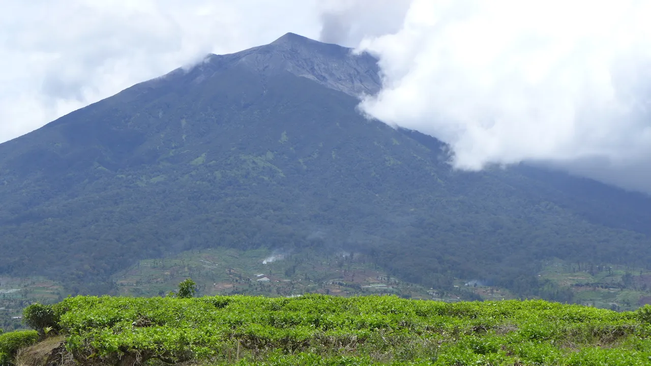 Indonézska krajina s palmami a tradičnými budovami