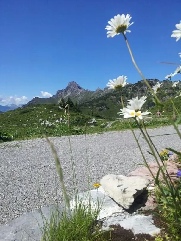 Horská krajina pri Freiburger Hütte